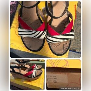 More shoes! Shoes! Shoes! Sizes range from 7 - 8